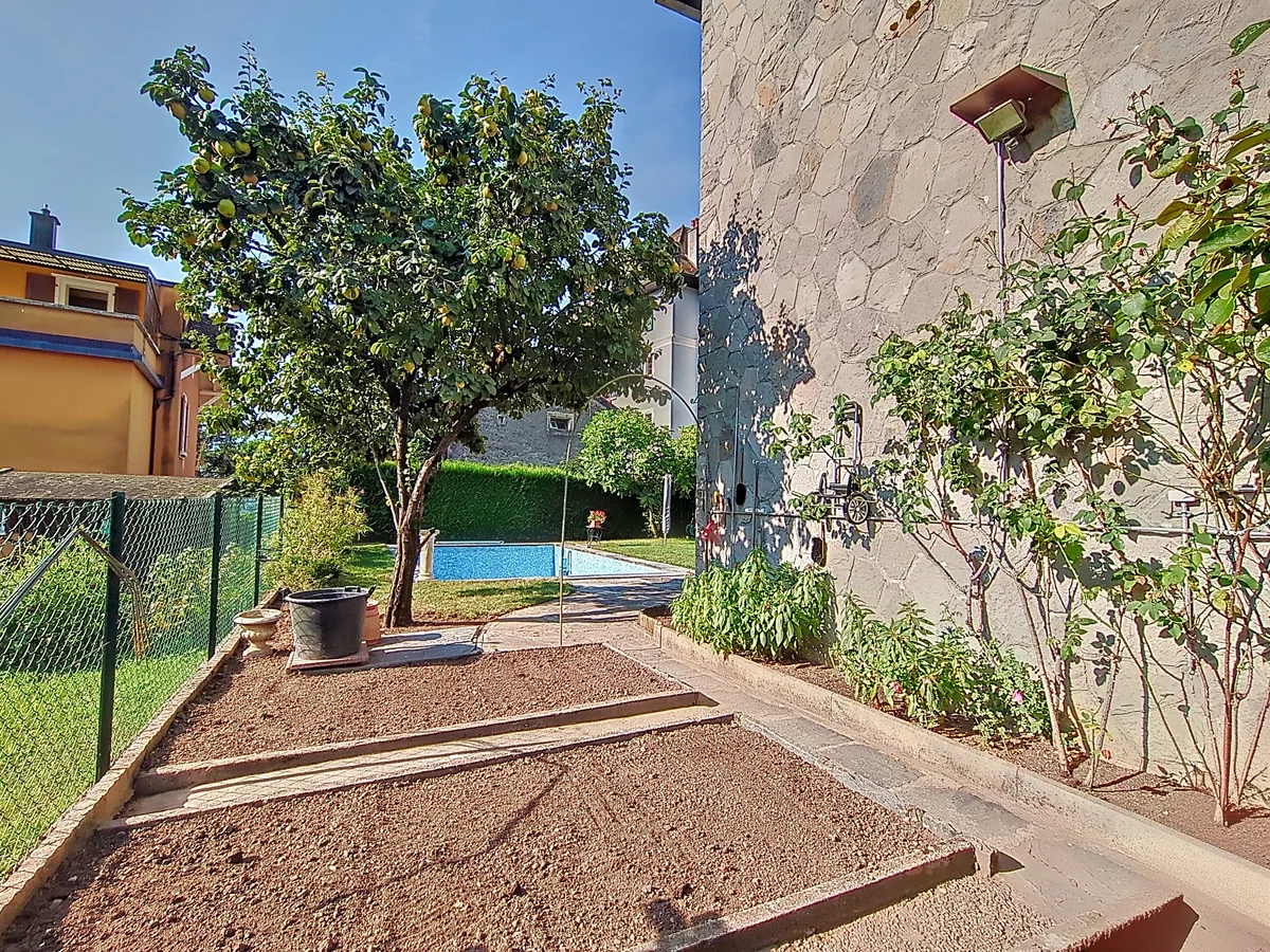 potager 2