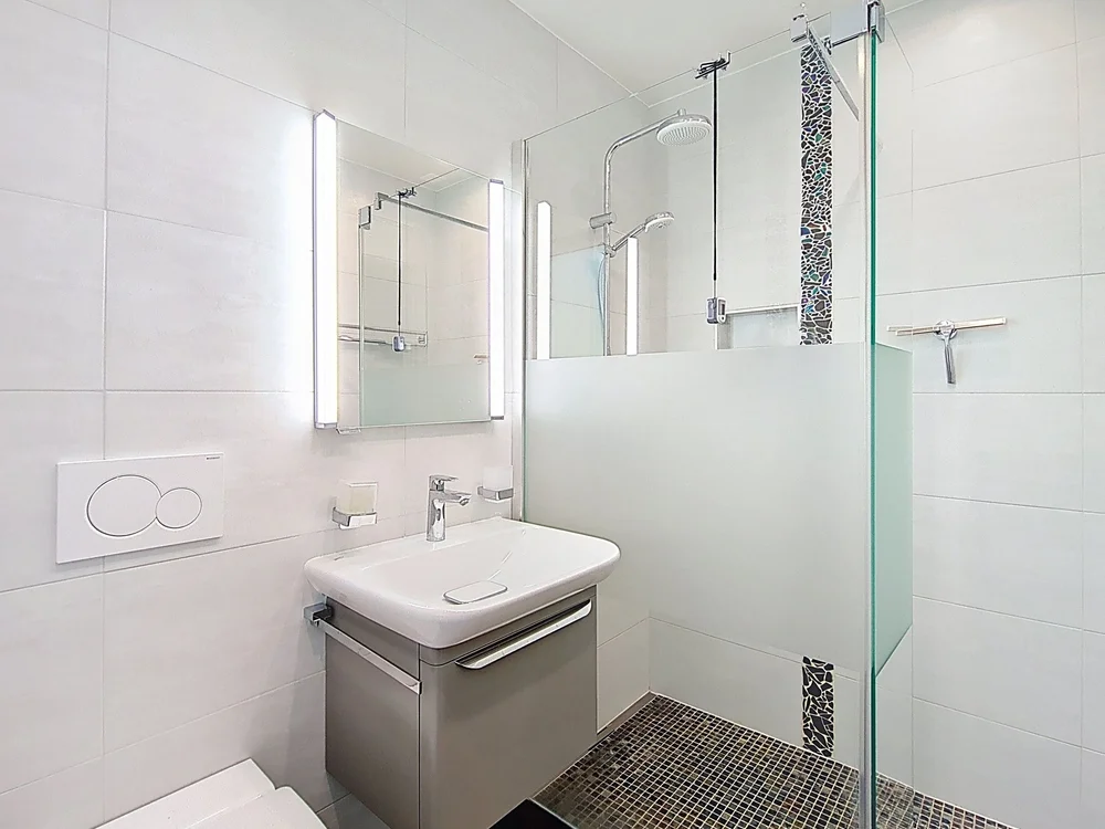 Maison Blonay - rez-WC visiteur-douche